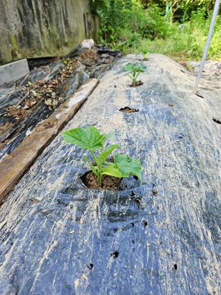 이영재님의 자유주제 · 자유게시판 작성글 사진