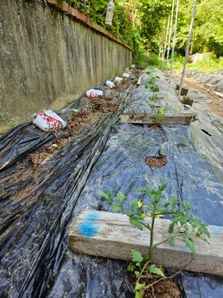 이영재님의 자유주제 · 자유게시판 작성글 사진