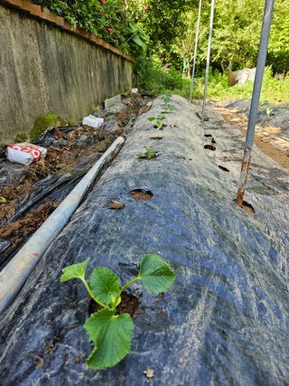 이영재님의 자유주제 · 자유게시판 작성글 사진