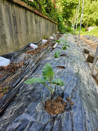 이영재님의 자유주제 · 자유게시판 작성글 사진