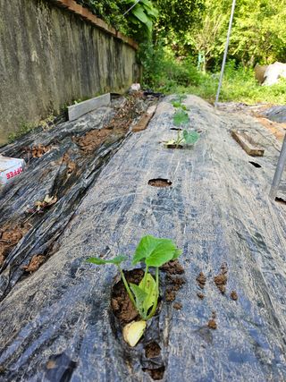 이영재님의 자유주제 · 자유게시판 작성글 사진