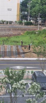 팜모닝 자유주제·사진전 게시글 이미지