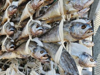 임성환님의 작성글 사진