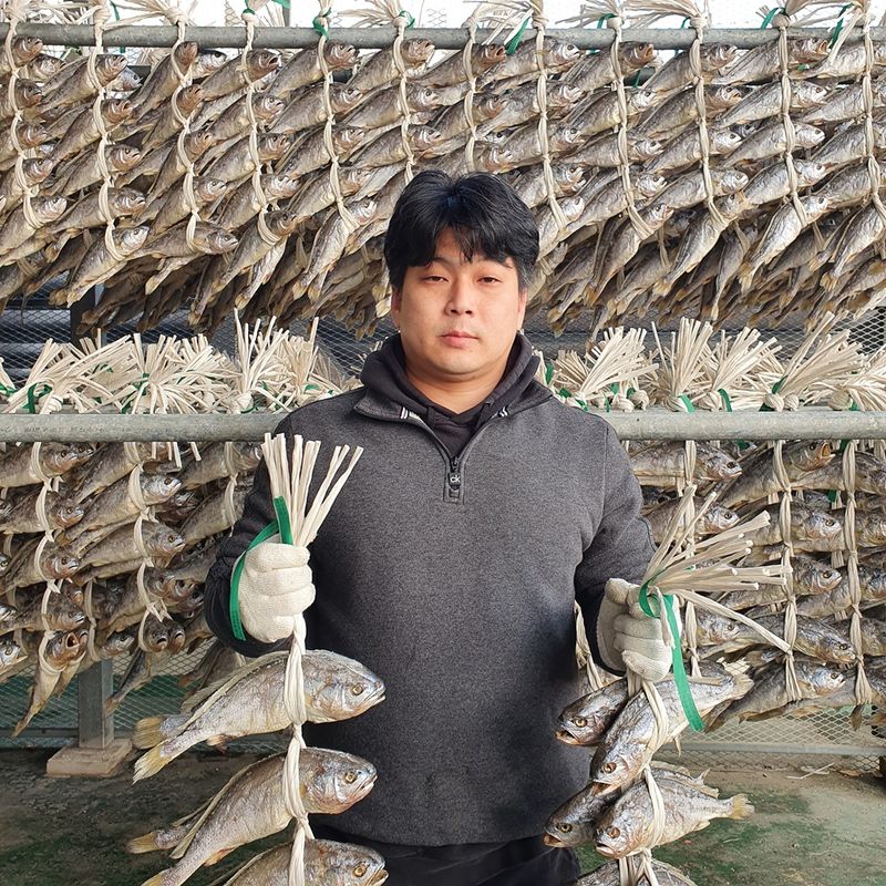 임성환님의 장터 판매 상품 [영광 보리굴비 10마리 (부세)] 첨부 사진