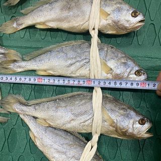 임성환님의 작성글 사진