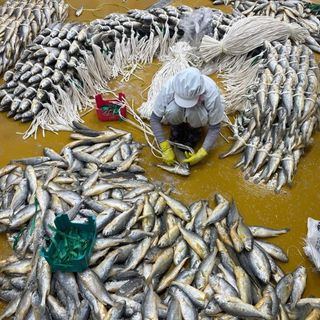 임성환님의 작성글 사진