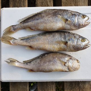 임성환님의 작성글 사진