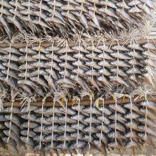 임성환님의 작성글 사진