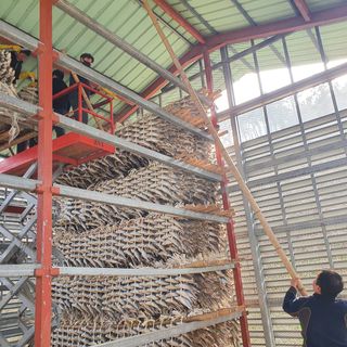 임성환님의 작성글 사진