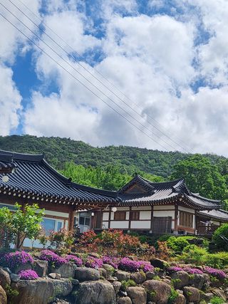 알 수 없음님의 자유주제 · 자유게시판 작성글 사진