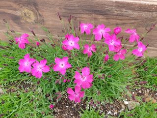 최순님의 작성글 사진