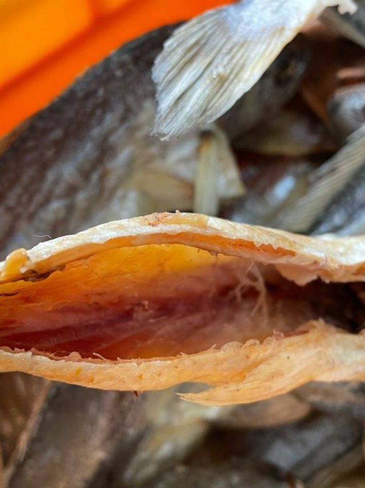 임성환님의 장터 판매 상품 [영광 찐보리굴비 (내장제거완료)] 첨부 사진