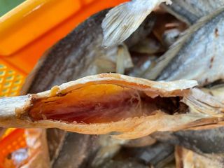 임성환님의 작성글 사진