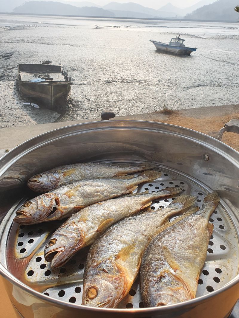 임성환님의 장터 판매 상품 [영광 찐보리굴비 (내장제거완료)] 첨부 사진