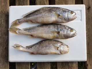 임성환님의 작성글 사진