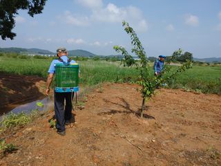 물안개님의 자유주제 · 사진전 작성글 사진