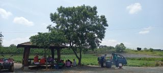 물안개님의 자유주제 · 사진전 작성글 사진