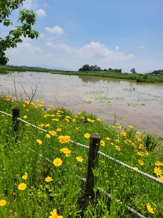물안개님의 자유주제 · 사진전 작성글 사진