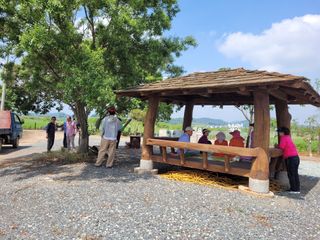 물안개님의 자유주제 · 사진전 작성글 사진