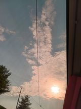 팜모닝 자유주제·사진전 게시글 이미지