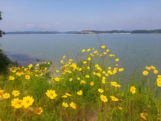 효십아찌님의 콩 · 자유게시판 작성글 사진