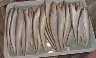 알 수 없음님의 자유주제 · 자유게시판 작성글 사진