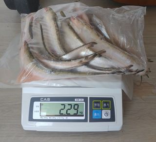 알 수 없음님의 자유주제 · 자유게시판 작성글 사진