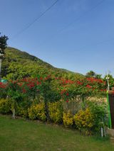 팜모닝 우리동네·동네자랑 게시글 이미지