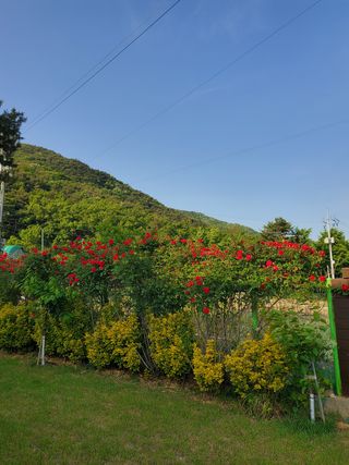 또비님의 우리동네 · 동네자랑 작성글 사진