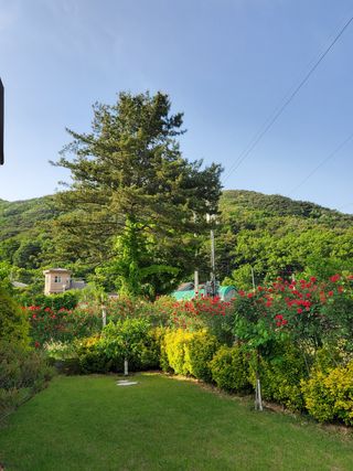 또비님의 우리동네 · 동네자랑 작성글 사진