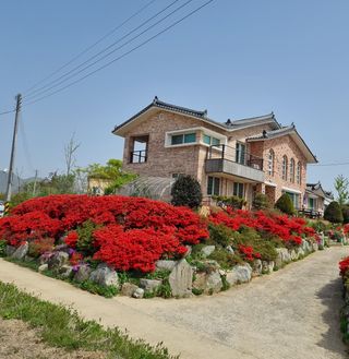 박석연님의 우리동네 · 동네정보 작성글 사진