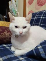 팜모닝 자유주제·자유게시판 게시글 이미지