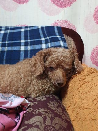 주*희님의 자유주제 · 자유게시판 작성글 사진