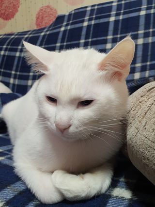 주*희님의 자유주제 · 자유게시판 작성글 사진