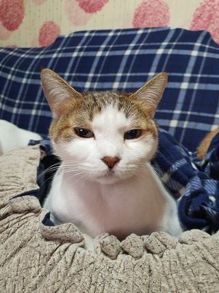 주*희님의 자유주제 · 자유게시판 작성글 사진