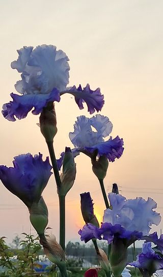 희망농부58님의 우리동네 · 동네수다 작성글 사진