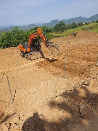 김복순님의 자유주제 · 사진전 작성글 사진