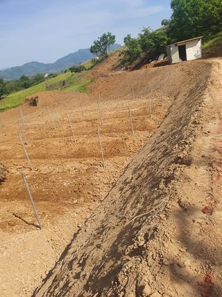 김복순님의 자유주제 · 사진전 작성글 사진