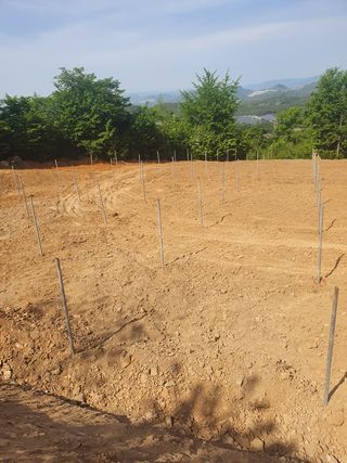 김복순님의 자유주제 · 사진전 작성글 사진