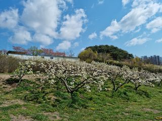 장양농원6606님의 자유주제 · 사진전 작성글 사진