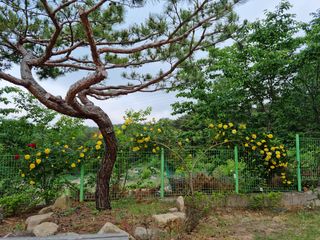 장양농원6606님의 자유주제 · 사진전 작성글 사진