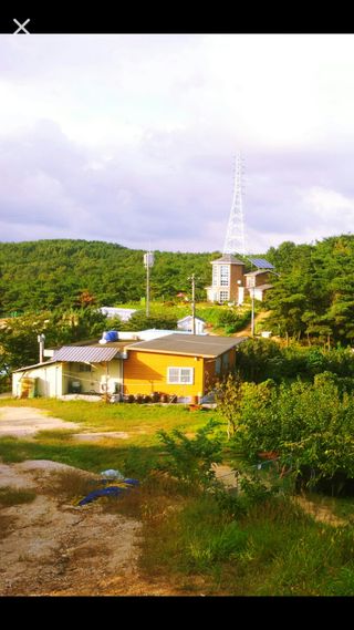장양농원6606님의 자유주제 · 사진전 작성글 사진