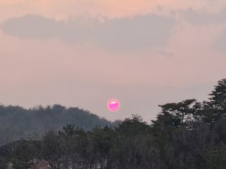 장양농원6606님의 자유주제 · 사진전 작성글 사진