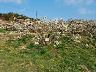 장양농원6606님의 자유주제 · 사진전 작성글 사진