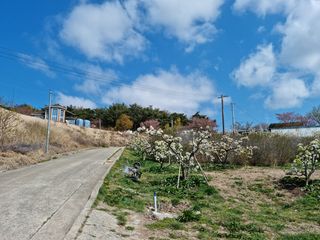장양농원6606님의 자유주제 · 사진전 작성글 사진