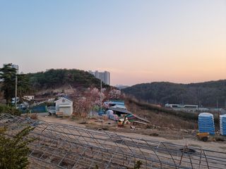 장양농원6606님의 자유주제 · 사진전 작성글 사진