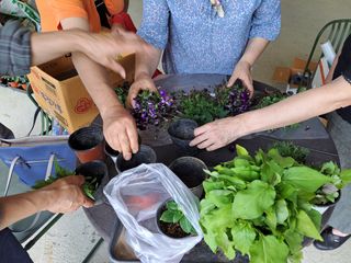 최창숙님의 자유주제 · 사진전 작성글 사진