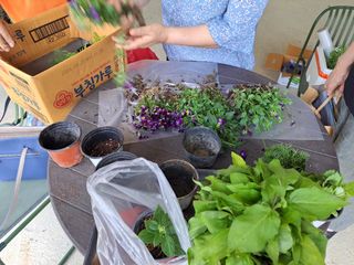 최창숙님의 자유주제 · 사진전 작성글 사진