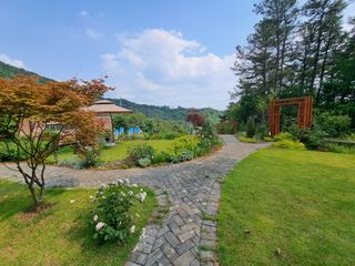 최창숙님의 자유주제 · 사진전 작성글 사진