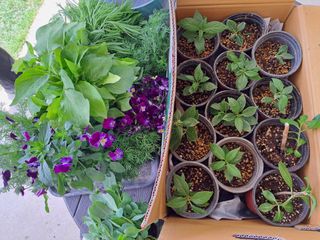 최창숙님의 자유주제 · 사진전 작성글 사진